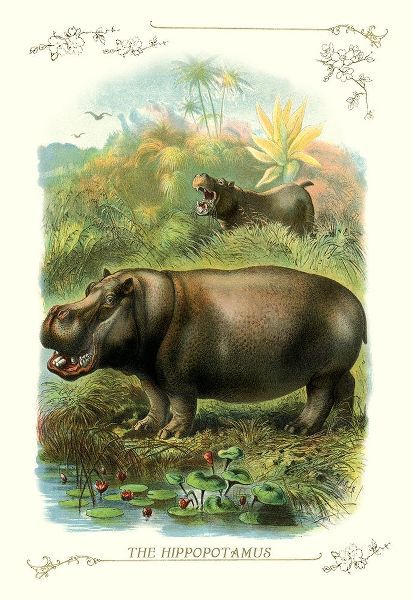 The Hippopotamus, 1900