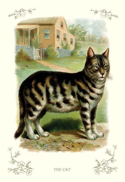 The Cat, 1900