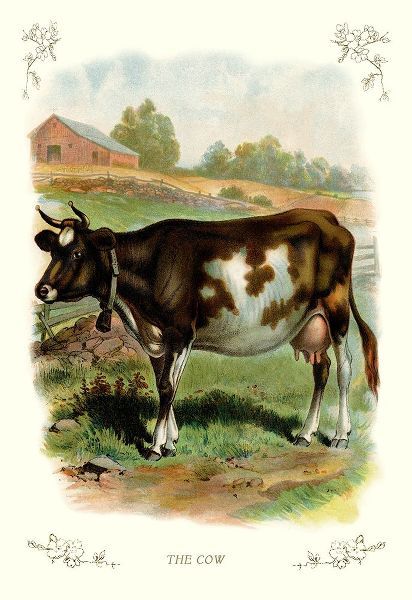The Cow, 1900