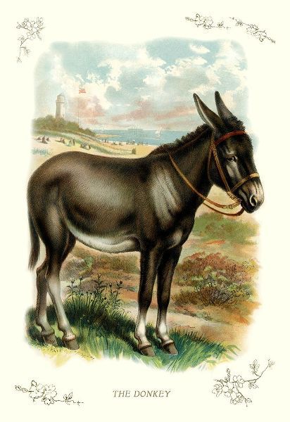 The Donkey, 1900