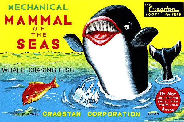 Mammal of the Seas: Whale Chasing Fish