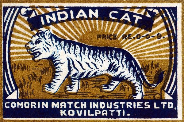 Indian Cat