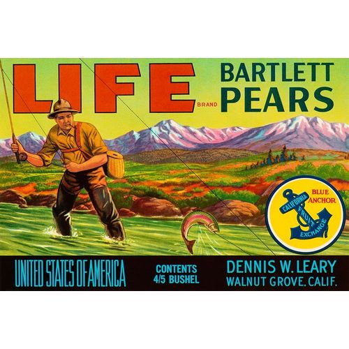 Life Brand Bartlett Pears
