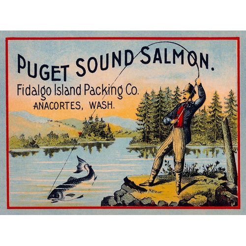 Puget Sound Salmon - On the Fly