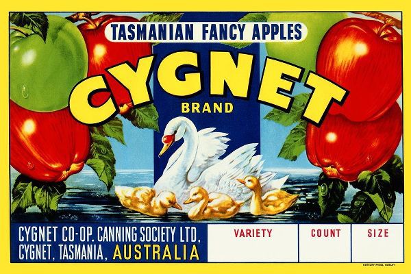 Cygnet Tasmanian Fancy Apples