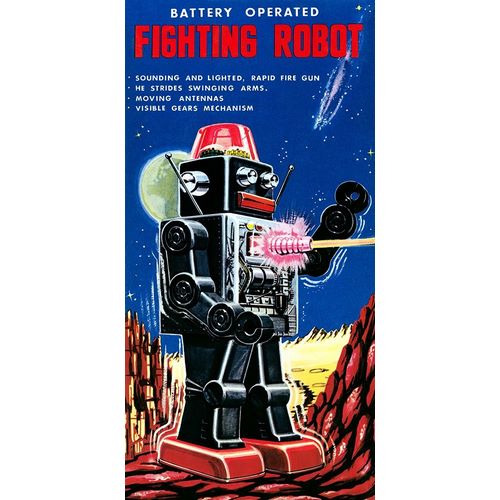 Fighting Robot
