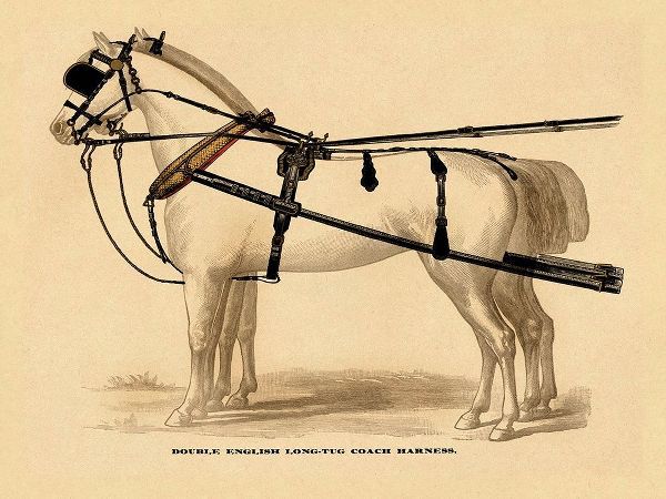 Saddles and Tack: Double English Long-Tug Coach,Sport,Competition,Sports,Play,win,score Harness