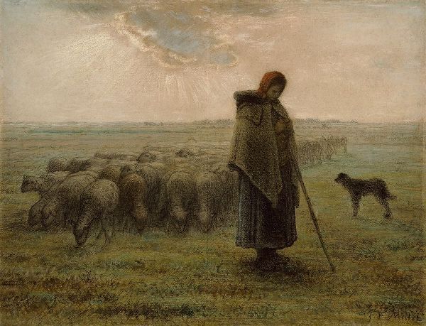 Shepherdess and Her Flock
