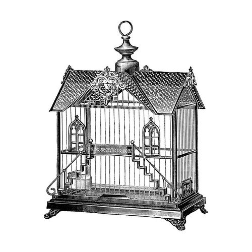 Etchings: Birdcage - Victorian house with steps.