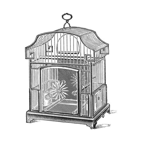Etchings: Birdcage - Gable top, daisy base.