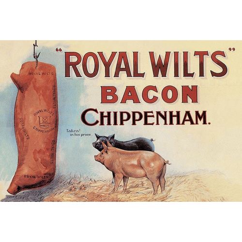 Pigs and Pork: Royal Wilts Bacon