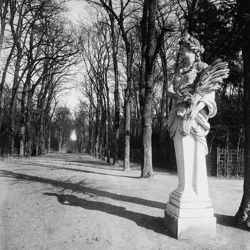 France, 1920 - The Park, Versailles