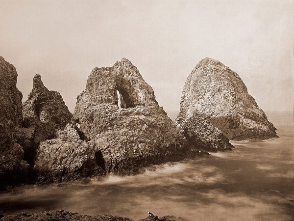 Sugarloaf Islands at Fishermans Bay, Farallon Islands, San Francisco, California, 1869