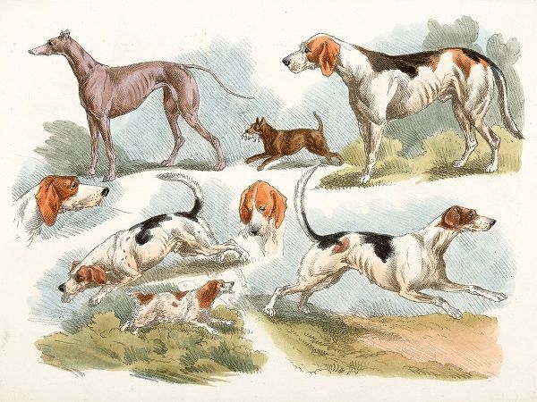 Hunting Dogs, 1817