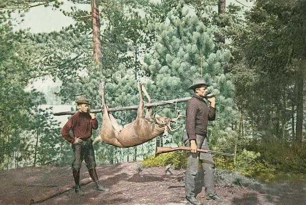 Hunting, Adirondacks, N.Y., 1898
