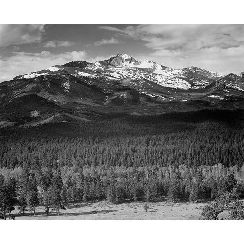Trees in foreground, snow covered mountain in background, in Rocky Mountain National Park, Colorado,