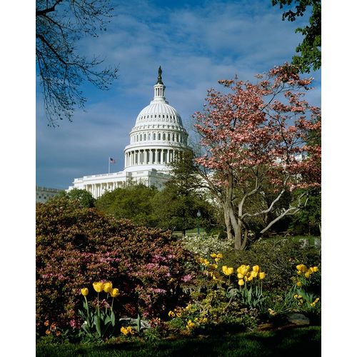 U.S. Capitol, Washington, D.C. Number 3