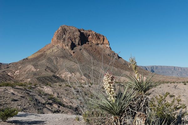 Scene from Big Bend National Park in Brewster County, TX