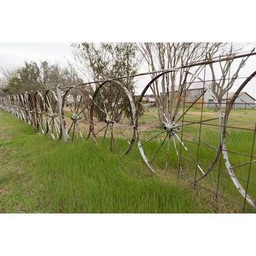 A fence made of wagon wheels near Schulenburg in Fayette County, TX
