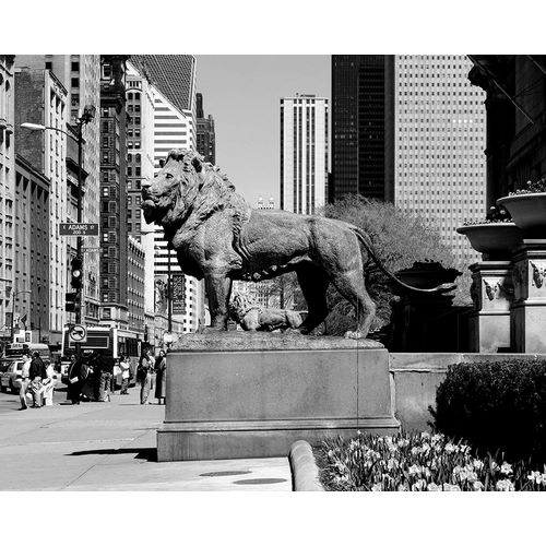 Edward Kemeys guardian lions stand before the Art Institute of Chicago Illinois