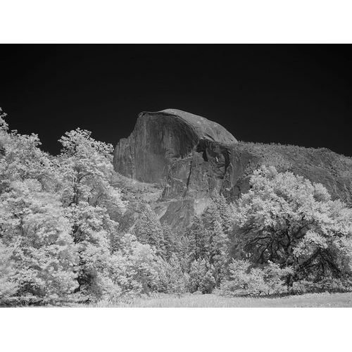 Highsmith, Carol 작가의 Half Dome in Yosemite National Park California 작품