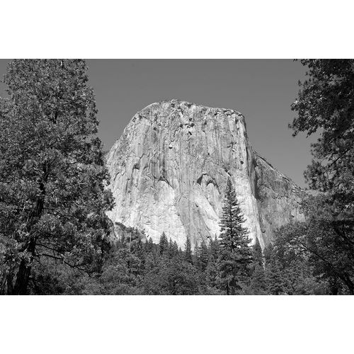 Highsmith, Carol 작가의 El Capitan in Yosemite National Park California 작품