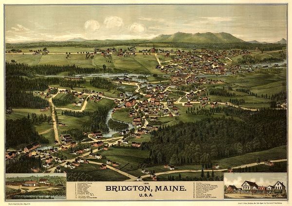 Vintage Maps 아티스트의 Bridgeton-Maine 1888 작품