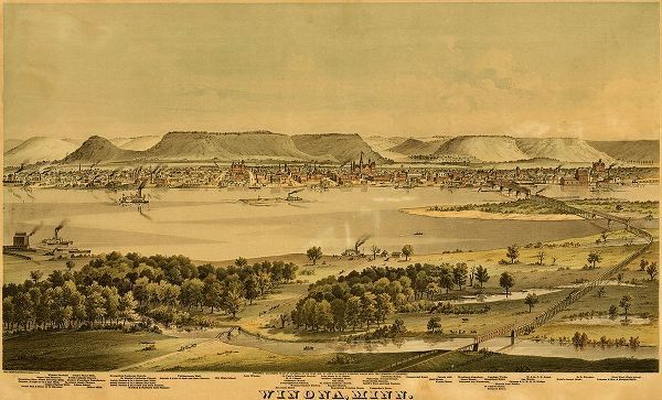 Vintage Maps 아티스트의 Winona-Minnesota 1874 작품