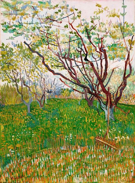 The Flowering Orchard (1888)
