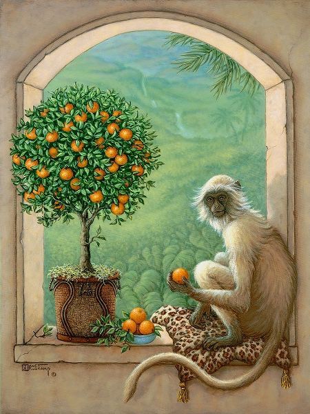 Monkey and Orange Tree