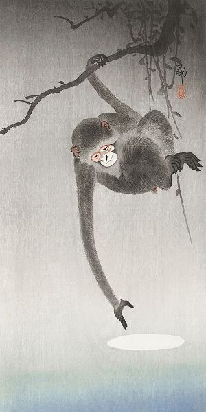 Monkey and reflection of the moon