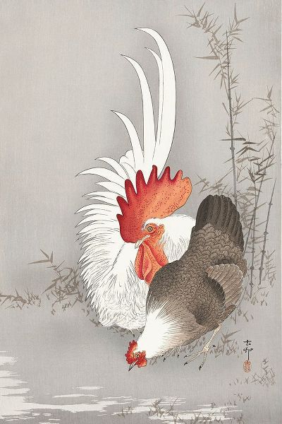 Rooster and chicken