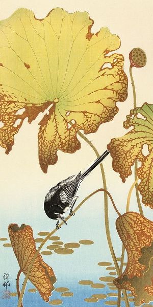 Koson, Ohara 아티스트의 Japanese wagtail on lotus plant작품입니다.