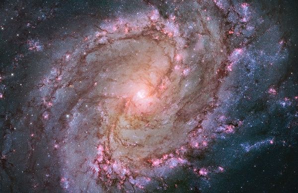 Spiral Galaxy M83, Hubble Space Telescope