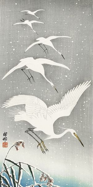 Descending egrets in snow