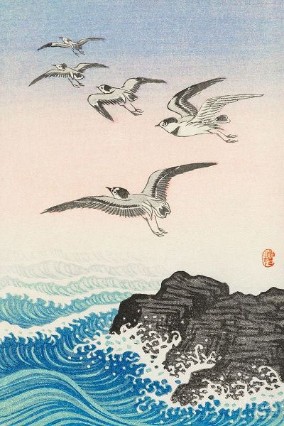 Five seagulls above the sea