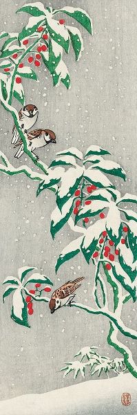 Sparrows on snowy berry bush
