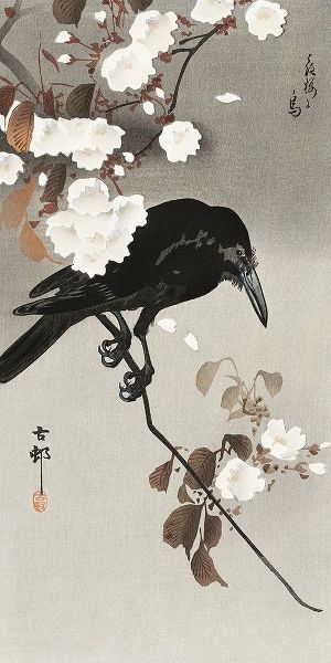 Crow and cherry blossom