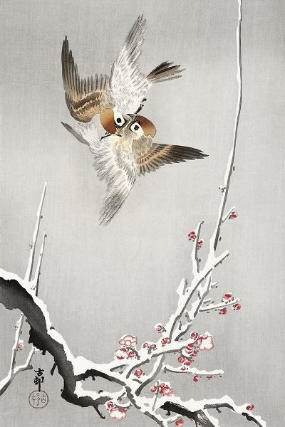 Sparrows and snowy plum tree