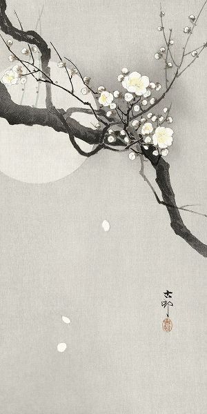 Plum blossom and full moon