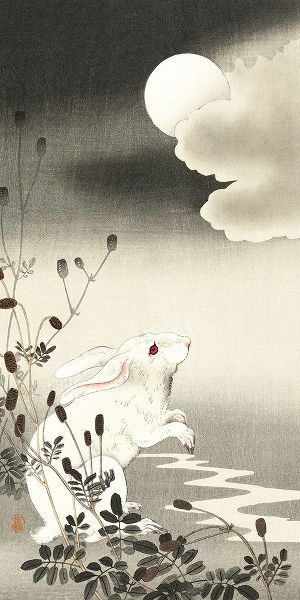 Rabbit at full moon