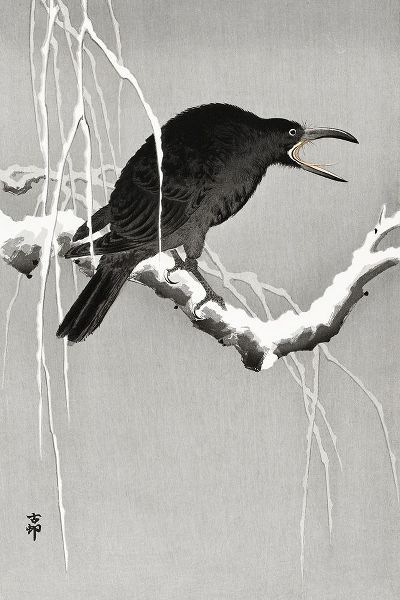 Crow on snowy tree branch