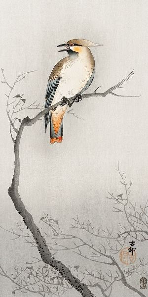Koson, Ohara 아티스트의 Japanese plague bird on branch작품입니다.