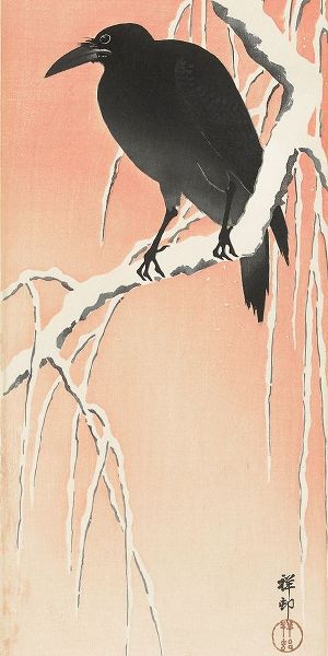 Crow on snowy branch