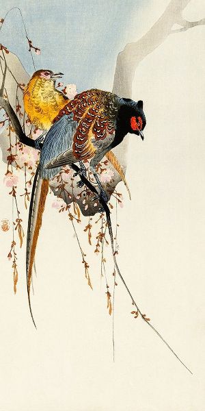Pheasant couple and plum blossom