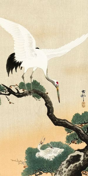 Koson, Ohara 아티스트의 Japanese crane bird on branch of pine작품입니다.
