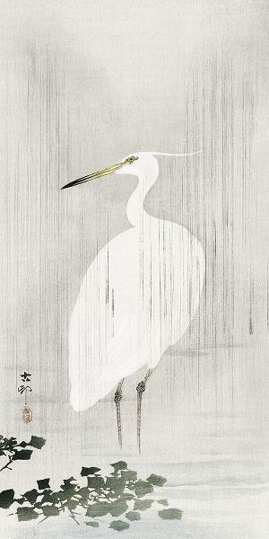 Egret in rain