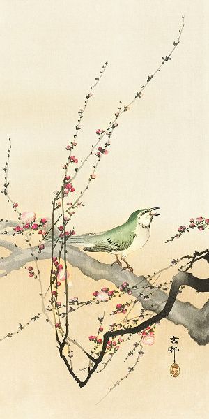 Songbird and plum blossom
