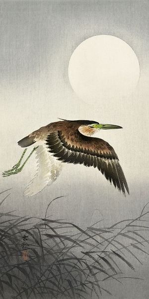Heron at full moon