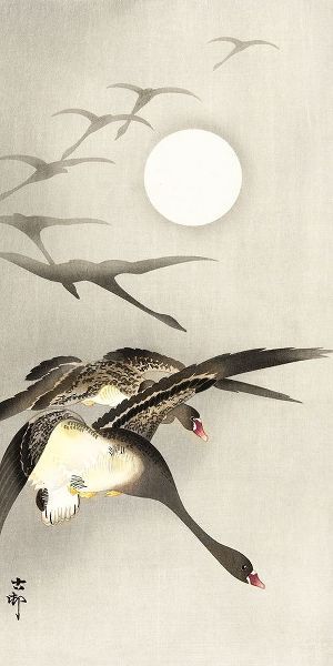 Geese at full moon